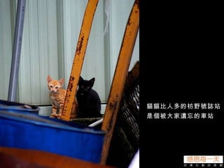 貓貓比人多的枋野號誌站 是個被大家遺忘的車站 