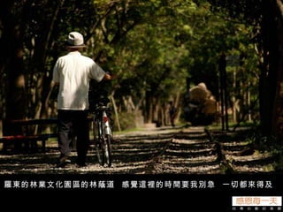 羅東的林業文化園區的林蔭道  感覺這裡的時間要我別急  一切都來得及 