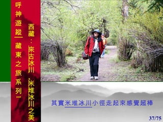 1 1 其實 米堆冰川 小徑走起來感覺超棒 37/75 呼 神 遊 蹤│藏 東 之 旅 系 列 1 西藏：  來古冰川 、 米堆冰川 之美 