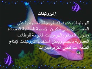 البروتينات / للبروتينات عدة فوائد الى جانب احتوائها على العنصر الاساسى لتكوين الانسجة المناعية المضادة وتكوين الخمائروالهرمونات اللازمة للوظائف العضوية بالجسم ويمكن استخدام البروتينات لإنتاج الطاقة عند نقص الكربوهيدرات 