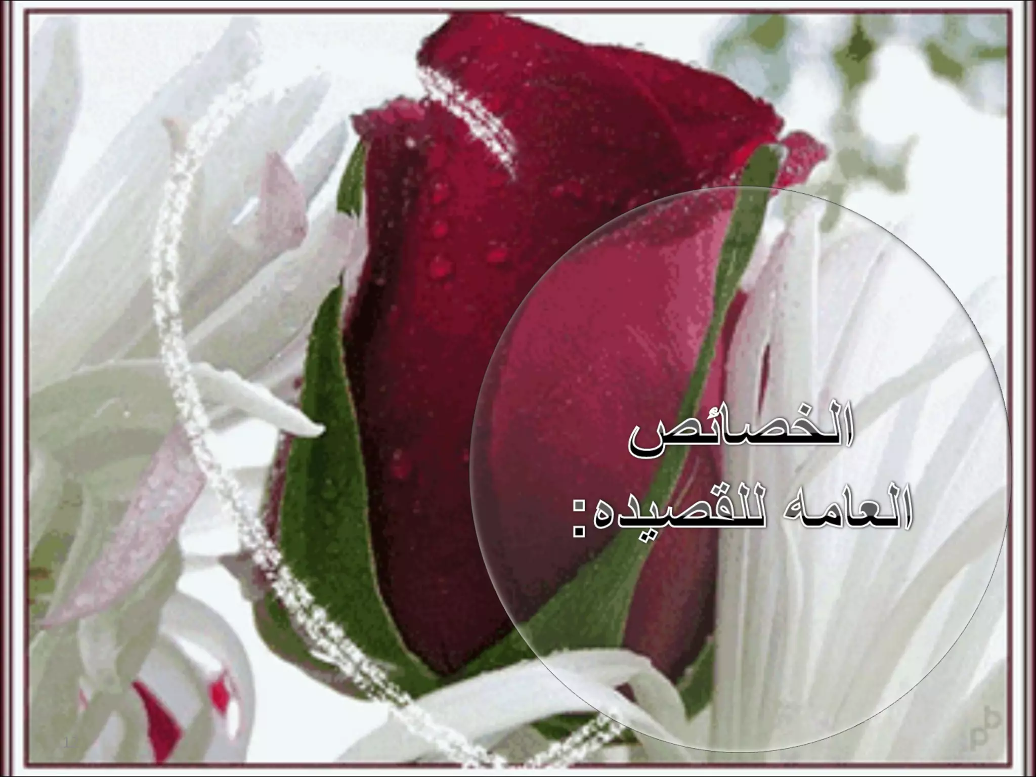 مالك بن الريب