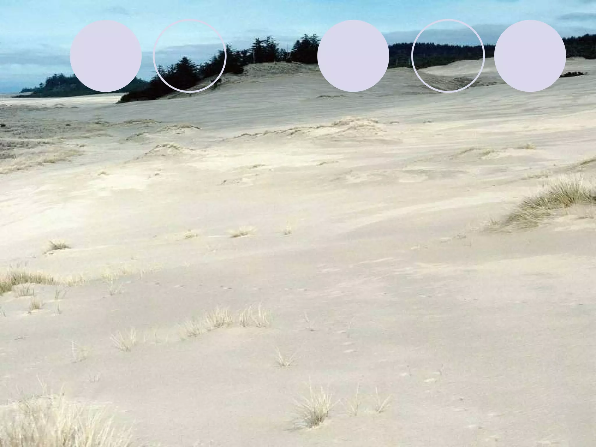 وصلى الله وسلم وبارك على سيدنا محمد وعلى اُله وصحبه وسلم 