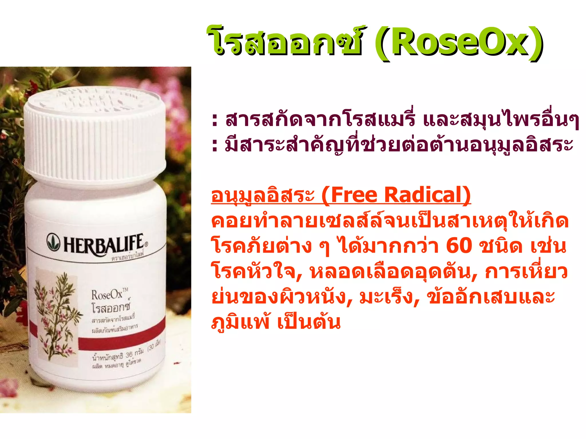 :  สารสกัดจากโรสแมรี่ และสมุนไพรอื่นๆ :  มีสาระสำคัญที่ช่วยต่อต้านอนุมูลอิสระ อนุมูลอิสระ  (Free Radical)   คอย ทำลาย เซลส์ ล์จนเป็นสาเหตุให้เกิดโรคภัยต่าง ๆ ได้มากกว่า  60  ชนิด เช่น โรคหัวใจ ,  หลอดเลือดอุดตัน ,  การเหี่ย ว ย่นของผิวหนัง ,  มะเร็ง ,  ข้ออักเสบและภูมิแพ้ เป็นต้น โรสออกซ์  ( RoseOx ) 