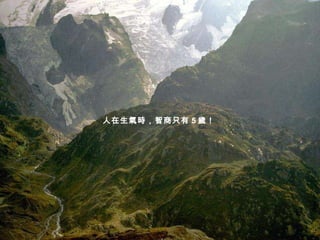 人在生氣時，智商只有 5 歲！   