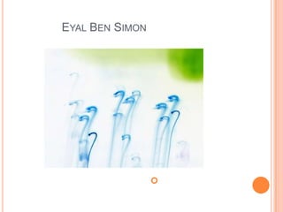 אייל בן סימון  Eyal Ben Simonהאור כיוצר