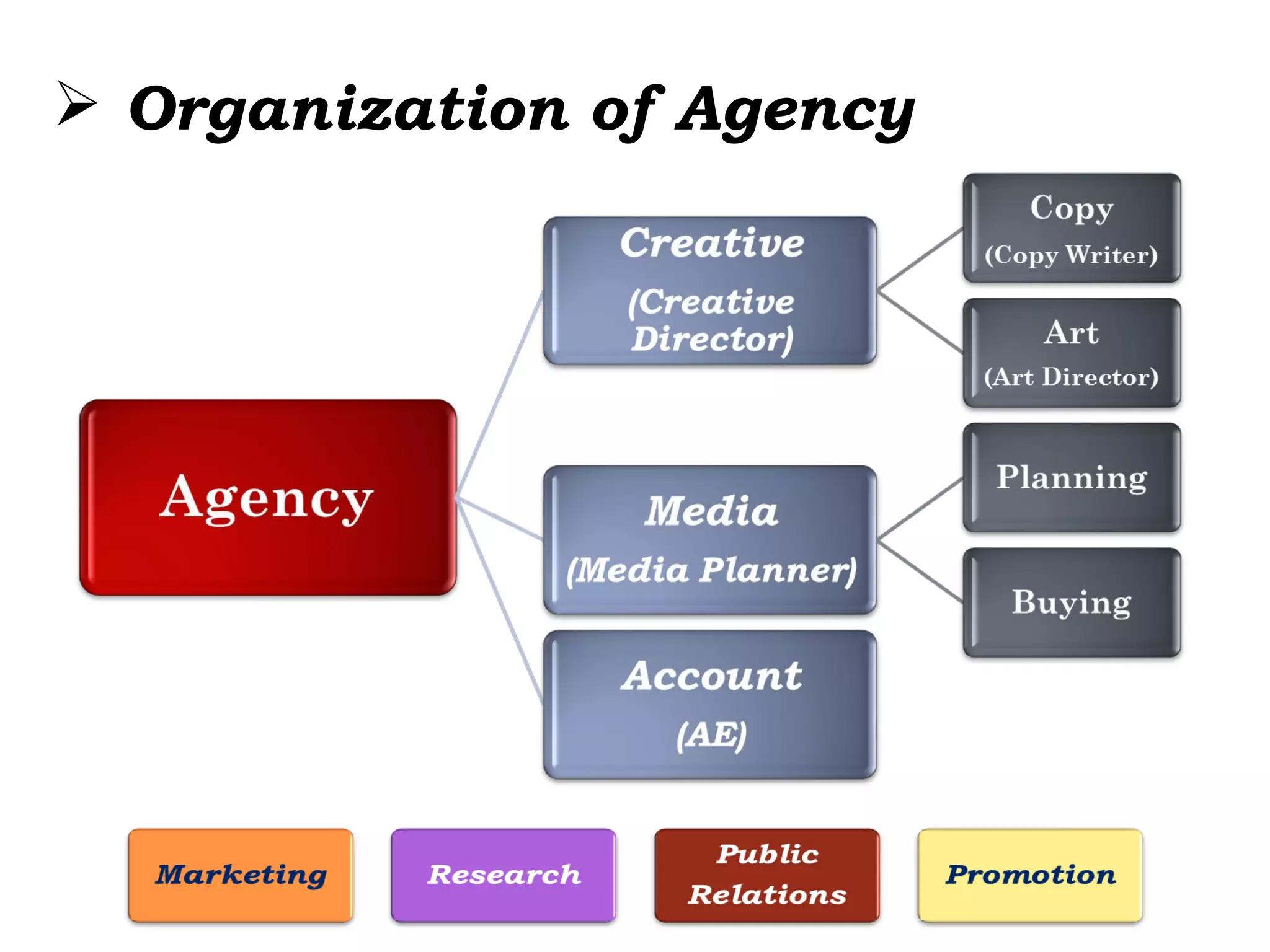 Organization of Agency 