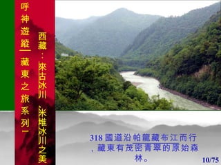 1 1 318 國道沿 帕龍藏布江 而行，藏東有茂密青翠的原始森林。 10/75 呼 神 遊 蹤│藏 東 之 旅 系 列 1 西藏：  來古冰川 、 米堆冰川 之美 . 