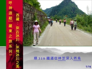 1 1 順 318 國道從 林芝 深入 然烏 7/75 呼 神 遊 蹤│藏 東 之 旅 系 列 1 西藏：  來古冰川 、 米堆冰川 之美 