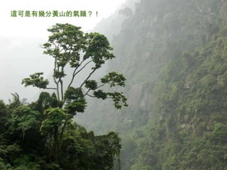 這可是有幾分黃山的氣韻？！   