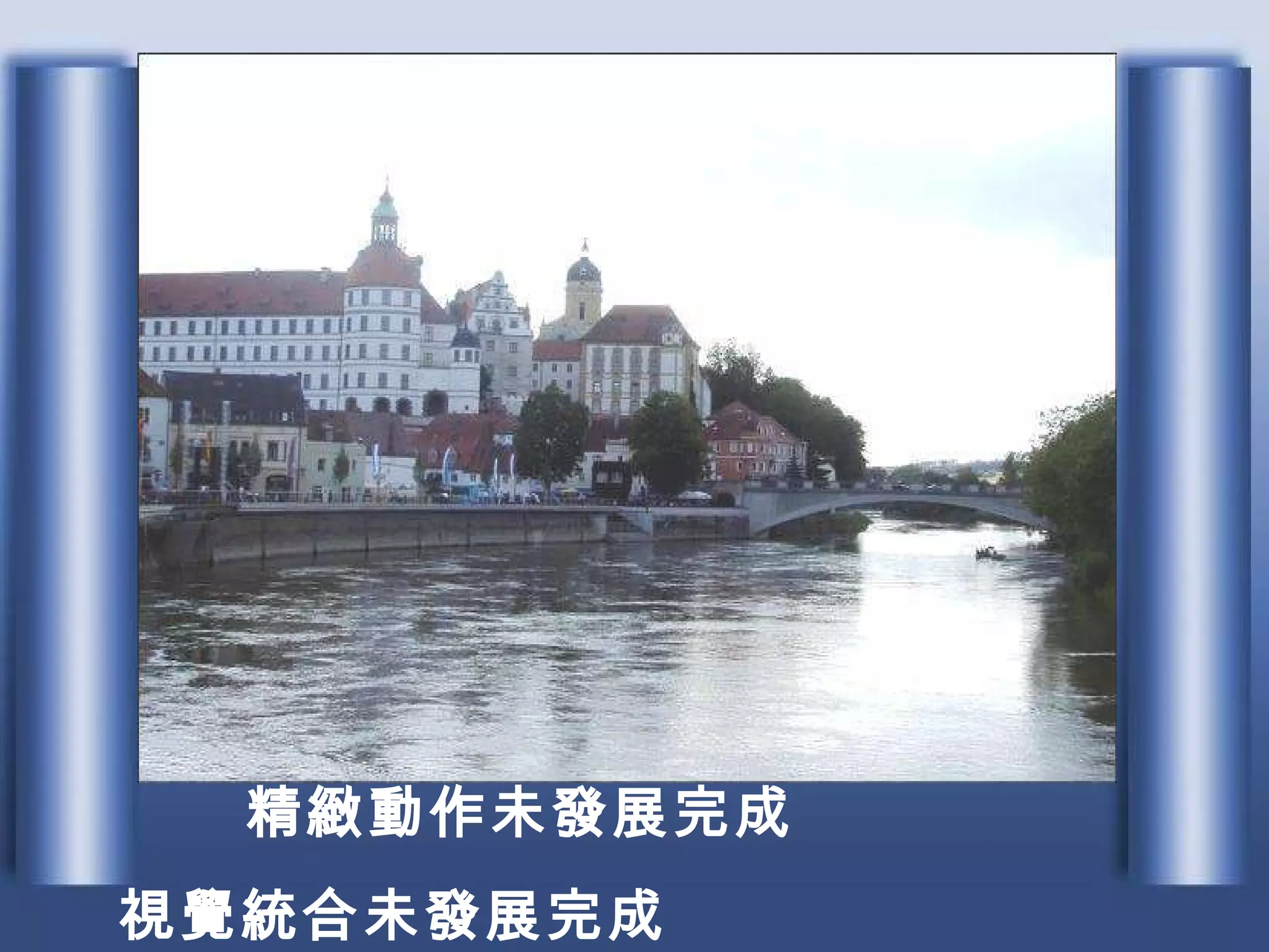 　 精緻動作未發展完成 視覺統合未發展完成 