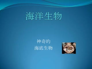 ĺ
