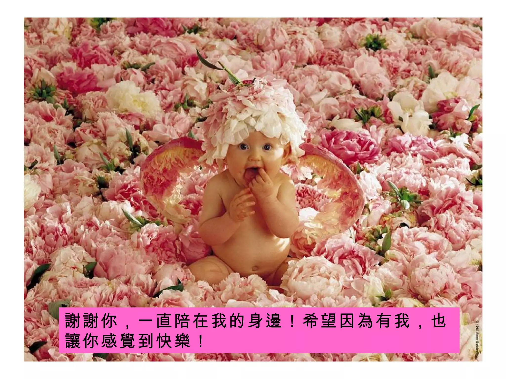 謝謝 你，一直陪在我的 身邊 ！希望因 為有我 ，也 讓 你感 覺 到快 樂 ！ 