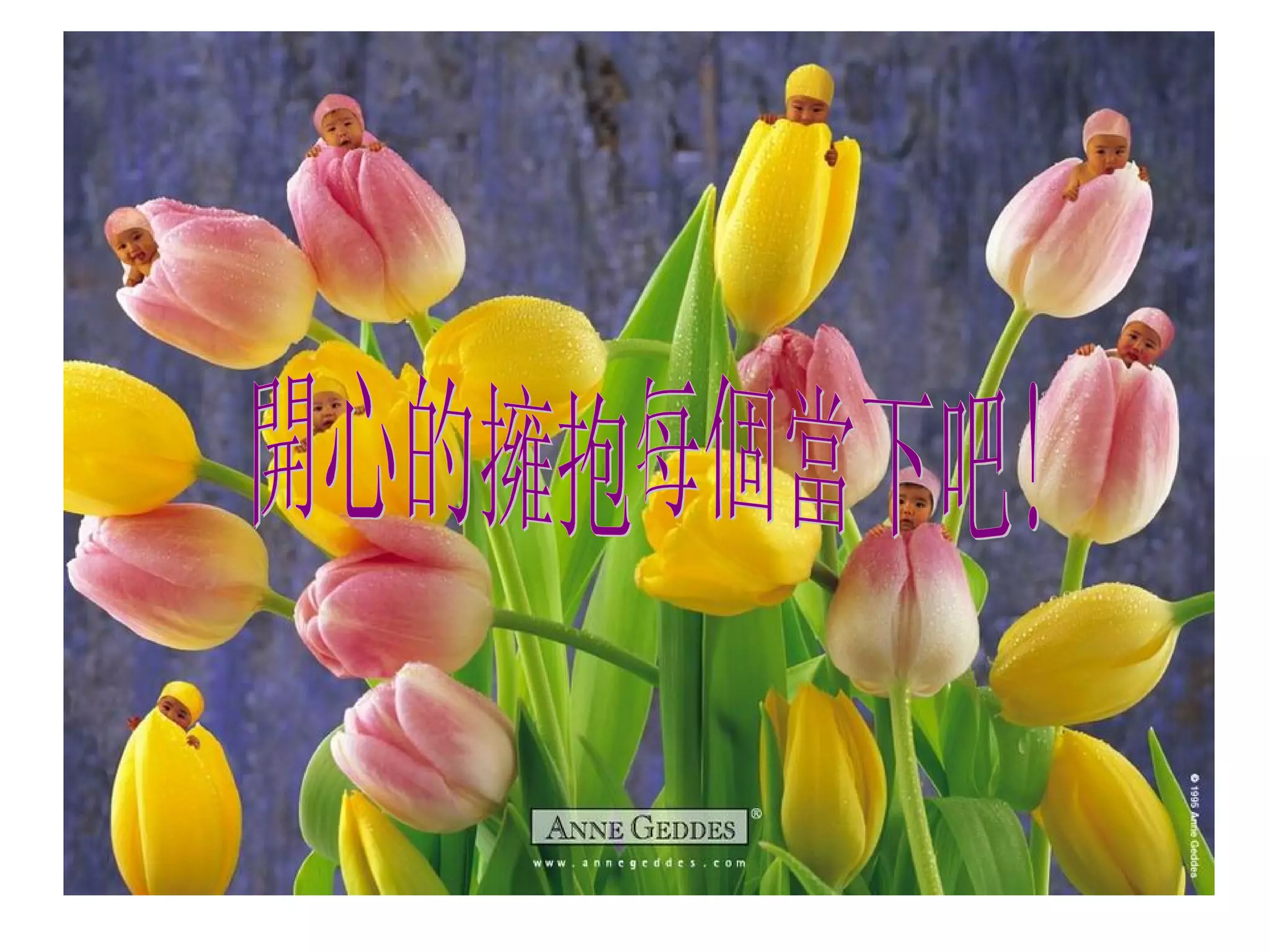 開心的擁抱每個當下吧! 