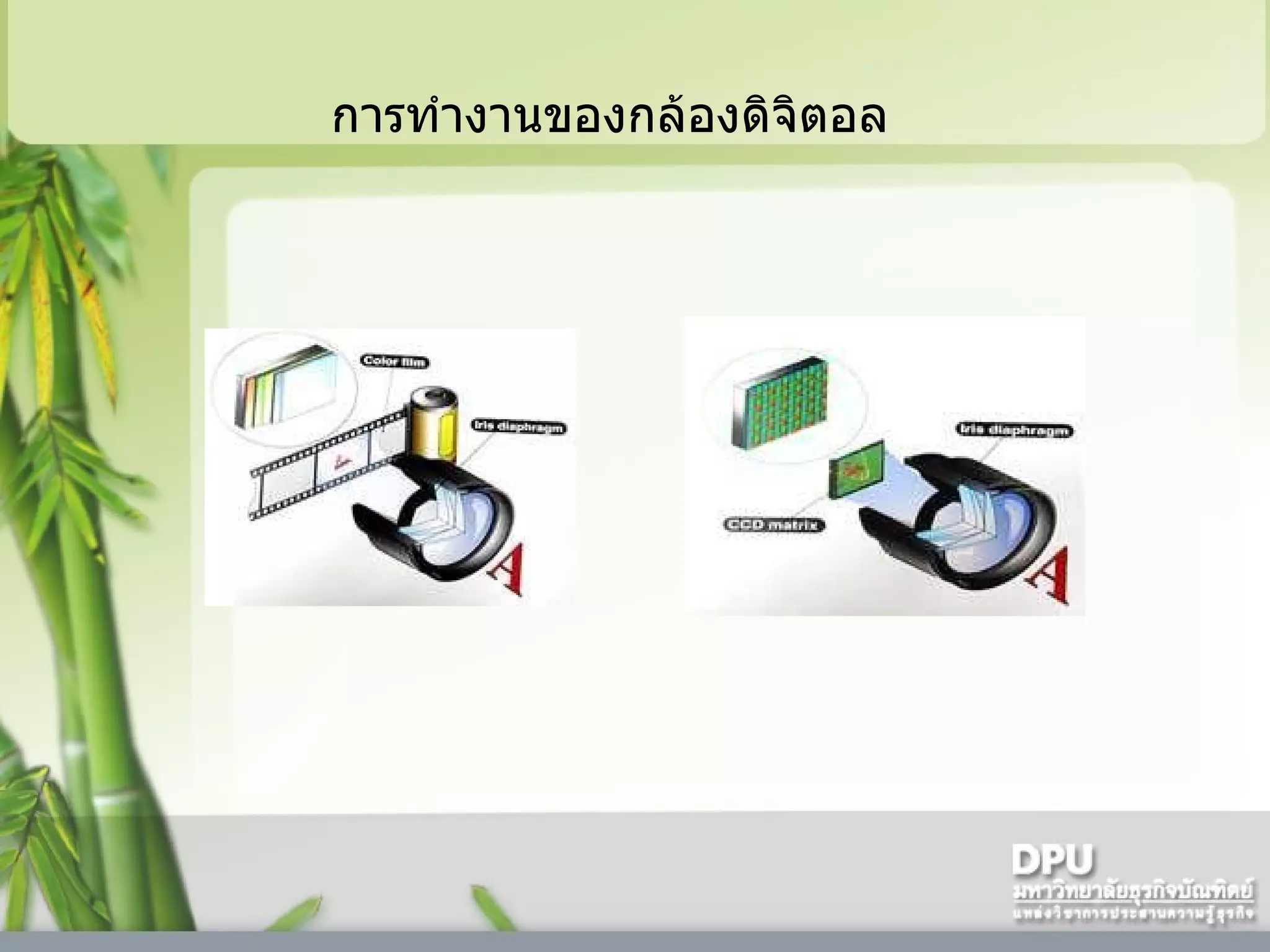 การทำงานของกล้องดิจิตอล 