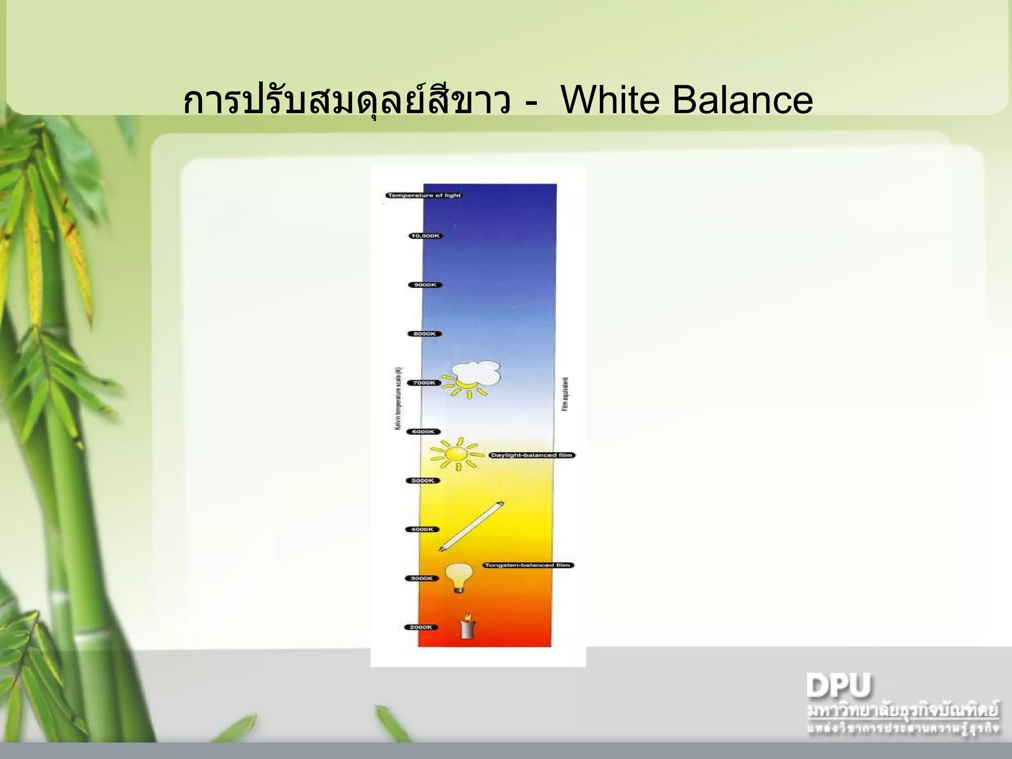 การปรับสมดุลย์สีขาว  -   White Balance   