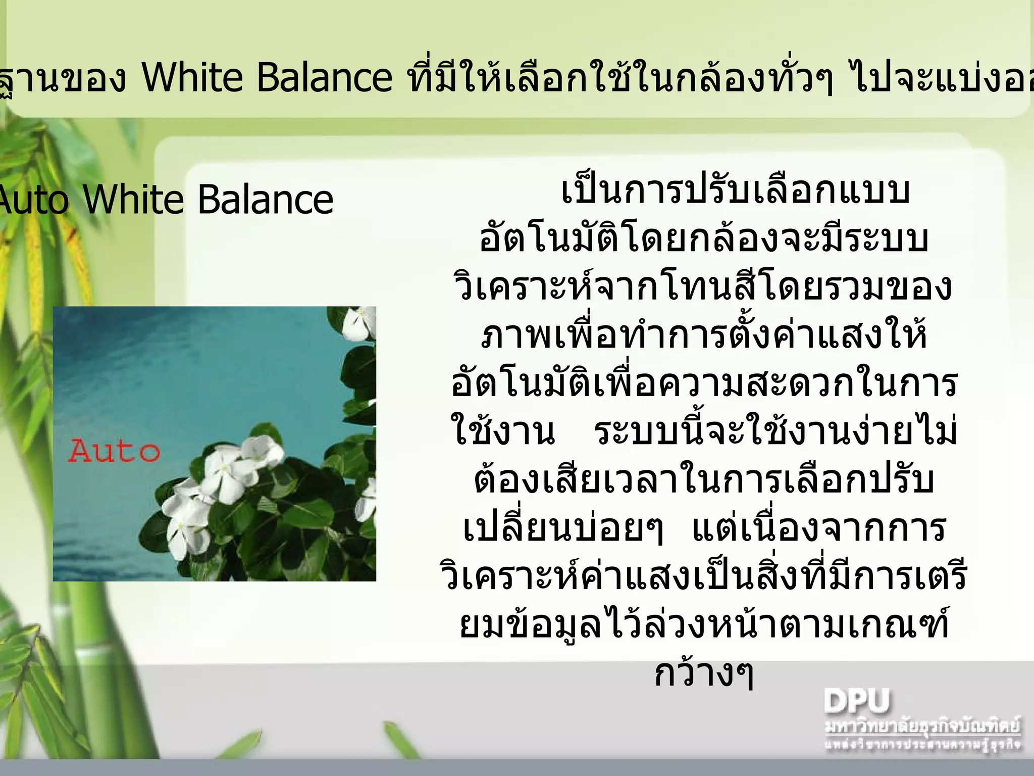     ค่ามาตรฐานของ  White Balance  ที่มีให้เลือกใช้ในกล้องทั่วๆ ไปจะแบ่งออกได้ดังนี้  Auto White Balance     เป็นการปรับเลือกแบบอัตโนมัติโดยกล้องจะมีระบบวิเคราะห์จากโทนสีโดยรวมของภาพเพื่อทำการตั้งค่าแสงให้อัตโนมัติเพื่อความสะดวกในการใช้งาน     ระบบนี้จะใช้งานง่ายไม่ต้องเสียเวลาในการเลือกปรับเปลี่ยนบ่อยๆ    แต่เนื่องจากการวิเคราะห์ค่าแสงเป็นสิ่งที่มีการเตรียมข้อมูลไว้ล่วงหน้าตามเกณฑ์กว้างๆ 