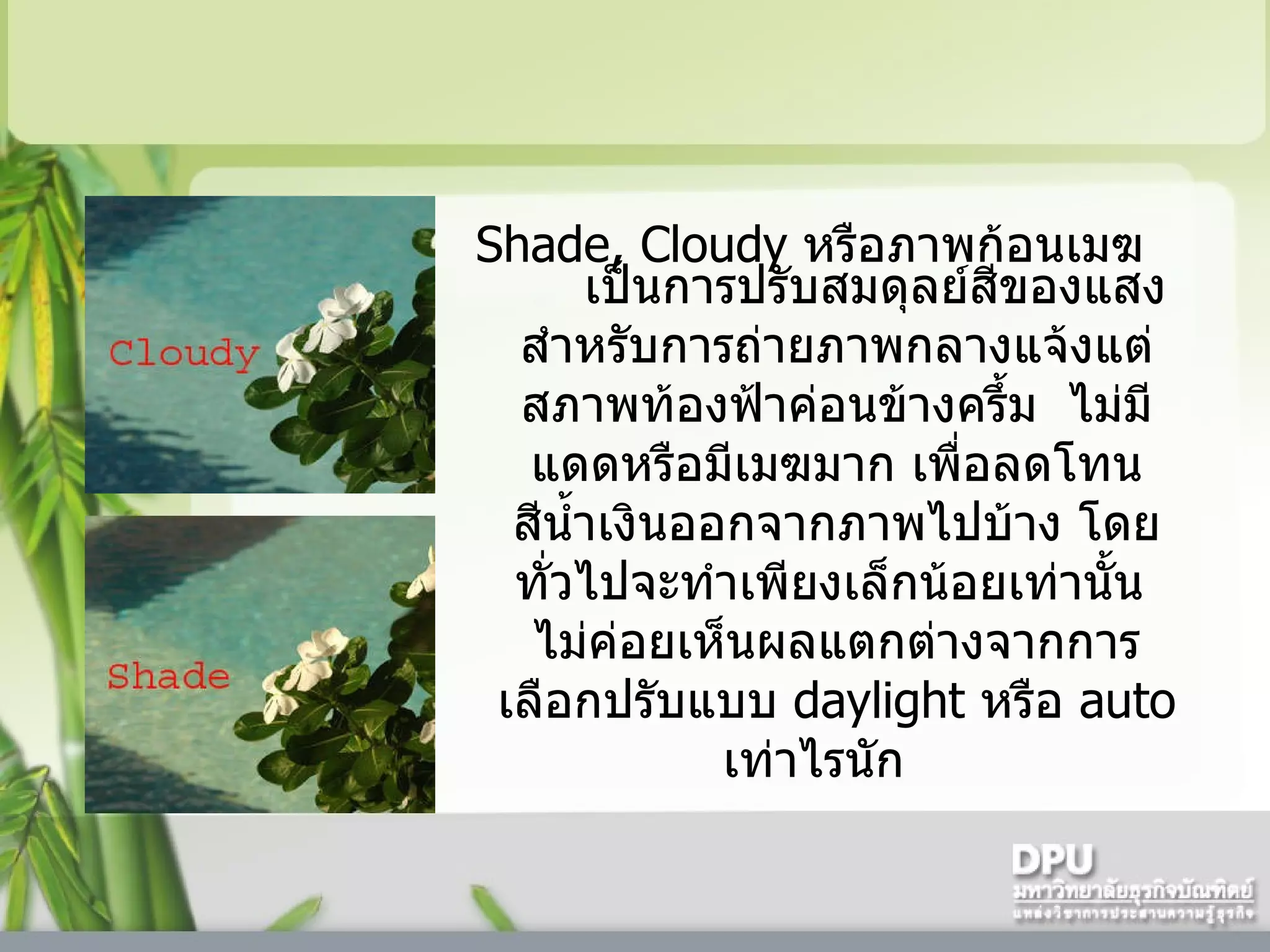 Shade, Cloudy  หรือภาพก้อนเมฆ  เป็นการปรับสมดุลย์สีของแสงสำหรับการถ่ายภาพกลางแจ้งแต่สภาพท้องฟ้าค่อนข้างครึ้ม    ไม่มีแดดหรือมีเมฆมาก เพื่อลดโทนสีน้ำเงินออกจากภาพไปบ้าง โดยทั่วไปจะทำเพียงเล็กน้อยเท่านั้น    ไม่ค่อยเห็นผลแตกต่างจากการเลือกปรับแบบ  daylight  หรือ  auto  เท่าไรนัก     