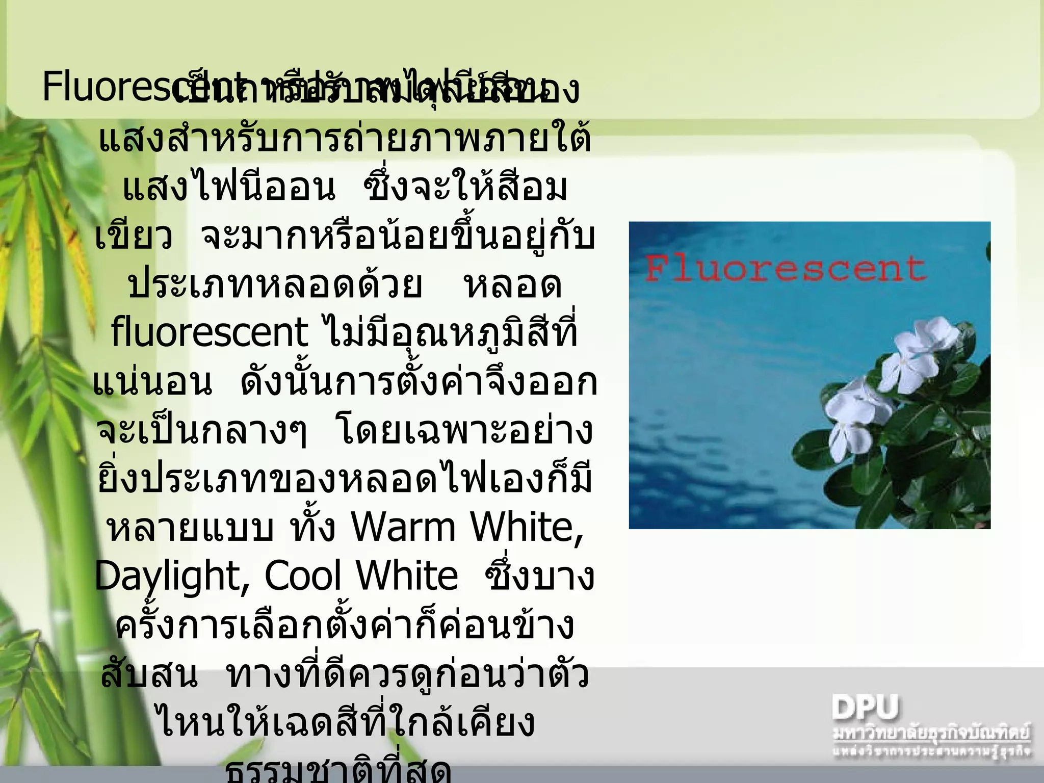 Fluorescent  หรือภาพไฟนีออน  เป็นการปรับสมดุลย์สีของแสงสำหรับการถ่ายภาพภายใต้แสงไฟนีออน    ซึ่งจะให้สีอมเขียว    จะมากหรือน้อยขึ้นอยู่กับประเภทหลอดด้วย     หลอด  fluorescent  ไม่มีอุณหภูมิสีที่แน่นอน    ดังนั้นการตั้งค่าจึงออกจะเป็นกลางๆ    โดยเฉพาะอย่างยิ่งประเภทของหลอดไฟเองก็มีหลายแบบ ทั้ง  Warm White, Daylight, Cool White   ซึ่งบางครั้งการเลือกตั้งค่าก็ค่อนข้างสับสน    ทางที่ดีควรดูก่อนว่าตัวไหนให้เฉดสีที่ใกล้เคียงธรรมชาติที่สุด  