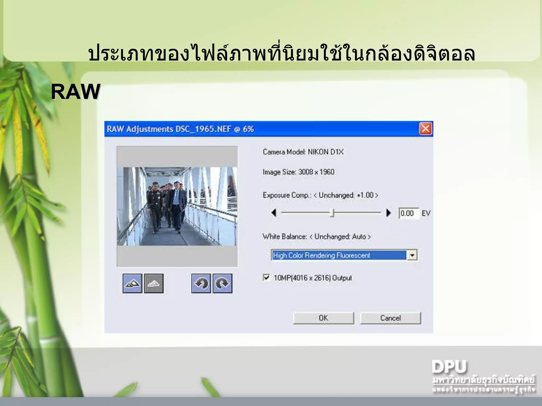 ประเภทของไฟล์ภาพที่นิยมใช้ในกล้องดิจิตอล RAW 