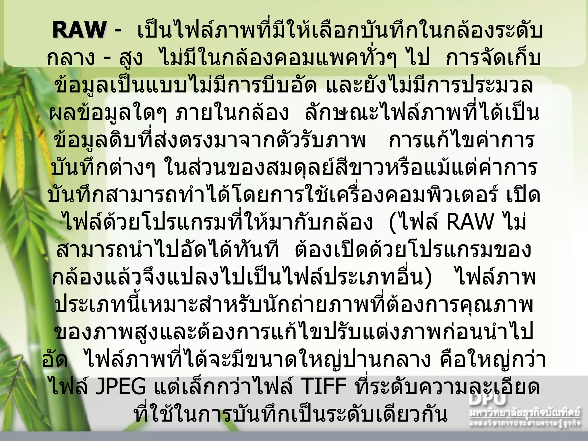   RAW  -    เป็นไฟล์ภาพที่มีให้เลือกบันทึกในกล้องระดับกลาง  -  สูง    ไม่มีในกล้องคอมแพคทั่วๆ ไป    การจัดเก็บข้อมูลเป็นแบบไม่มีการบีบอัด และยังไม่มีการประมวลผลข้อมูลใดๆ ภายในกล้อง    ลักษณะไฟล์ภาพที่ได้เป็นข้อมูลดิบที่ส่งตรงมาจากตัวรับภาพ     การแก้ไขค่าการบันทึกต่างๆ ในส่วนของสมดุลย์สีขาวหรือแม้แต่ค่าการบันทึกสามารถทำได้โดยการใช้เครื่องคอมพิวเตอร์ เปิดไฟล์ด้วยโปรแกรมที่ให้มากับกล้อง    ( ไฟล์  RAW  ไม่สามารถนำไปอัดได้ทันที    ต้องเปิดด้วยโปรแกรมของกล้องแล้วจึงแปลงไปเป็นไฟล์ประเภทอื่น )     ไฟล์ภาพประเภทนี้เหมาะสำหรับนักถ่ายภาพที่ต้องการคุณภาพของภาพสูงและต้องการแก้ไขปรับแต่งภาพก่อนนำไปอัด    ไฟล์ภาพที่ได้จะมีขนาดใหญ่ปานกลาง คือใหญ่กว่าไฟล์  JPEG  แต่เล็กกว่าไฟล์  TIFF  ที่ระดับความละเอียดที่ใช้ในการบันทึกเป็นระดับเดียวกัน  