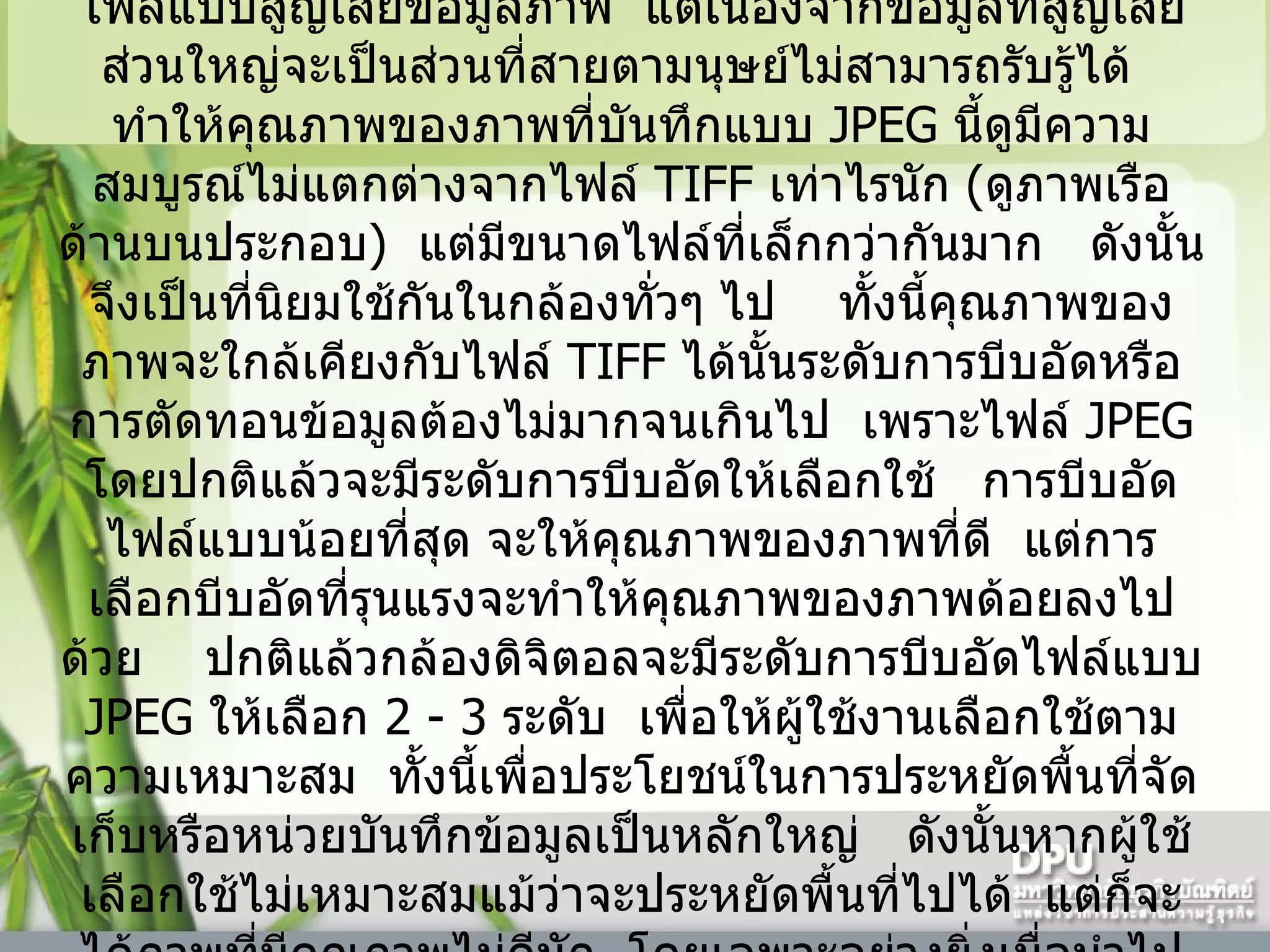 JPEG   -    เป็นไฟล์ภาพที่นิยมใช้มากที่สุดในกล้องดิจิตอล ทั้งรุ่นเล็กและรุ่นใหญ่    ไฟล์ในนามสกุลนี้เป็นการบีบอัดไฟล์แบบสูญเสียข้อมูลภาพ    แต่เนื่องจากข้อมูลที่สูญเสียส่วนใหญ่จะเป็นส่วนที่สายตามนุษย์ไม่สามารถรับรู้ได้     ทำให้คุณภาพของภาพที่บันทึกแบบ  JPEG  นี้ดูมีความสมบูรณ์ไม่แตกต่างจากไฟล์  TIFF  เท่าไรนัก  ( ดูภาพเรือด้านบนประกอบ )    แต่มีขนาดไฟล์ที่เล็กกว่ากันมาก     ดังนั้นจึงเป็นที่นิยมใช้กันในกล้องทั่วๆ ไป      ทั้งนี้คุณภาพของภาพจะใกล้เคียงกับไฟล์  TIFF  ได้นั้นระดับการบีบอัดหรือการตัดทอนข้อมูลต้องไม่มากจนเกินไป    เพราะไฟล์  JPEG  โดยปกติแล้วจะมีระดับการบีบอัดให้เลือกใช้     การบีบอัดไฟล์แบบน้อยที่สุด จะให้คุณภาพของภาพที่ดี    แต่การเลือกบีบอัดที่รุนแรงจะทำให้คุณภาพของภาพด้อยลงไปด้วย      ปกติแล้วกล้องดิจิตอลจะมีระดับการบีบอัดไฟล์แบบ  JPEG  ให้เลือก  2  -  3   ระดับ    เพื่อให้ผู้ใช้งานเลือกใช้ตามความเหมาะสม    ทั้งนี้เพื่อประโยชน์ในการประหยัดพื้นที่จัดเก็บหรือหน่วยบันทึกข้อมูลเป็นหลักใหญ่     ดังนั้นหากผู้ใช้เลือกใช้ไม่เหมาะสมแม้ว่าจะประหยัดพื้นที่ไปได้    แต่ก็จะได้ภาพที่มีคุณภาพไม่ดีนัก    โดยเฉพาะอย่างยิ่งเมื่อนำไปอัด  -  ขยาย เพิ่มจากขนาดมาตรฐานที่กล้องระบุไว้ ณ ความละเอียดที่ใช้บันทึก  