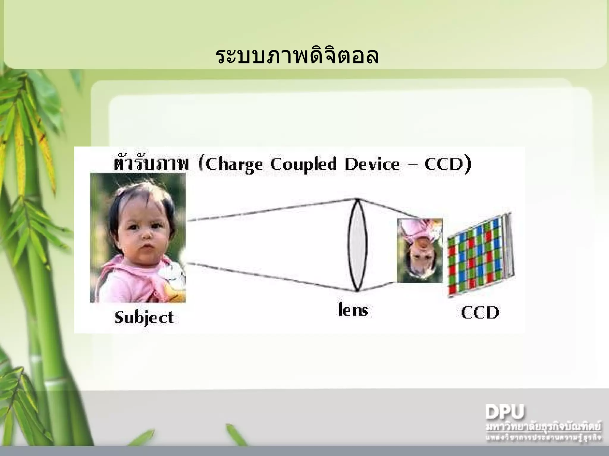 ระบบภาพดิจิตอล  