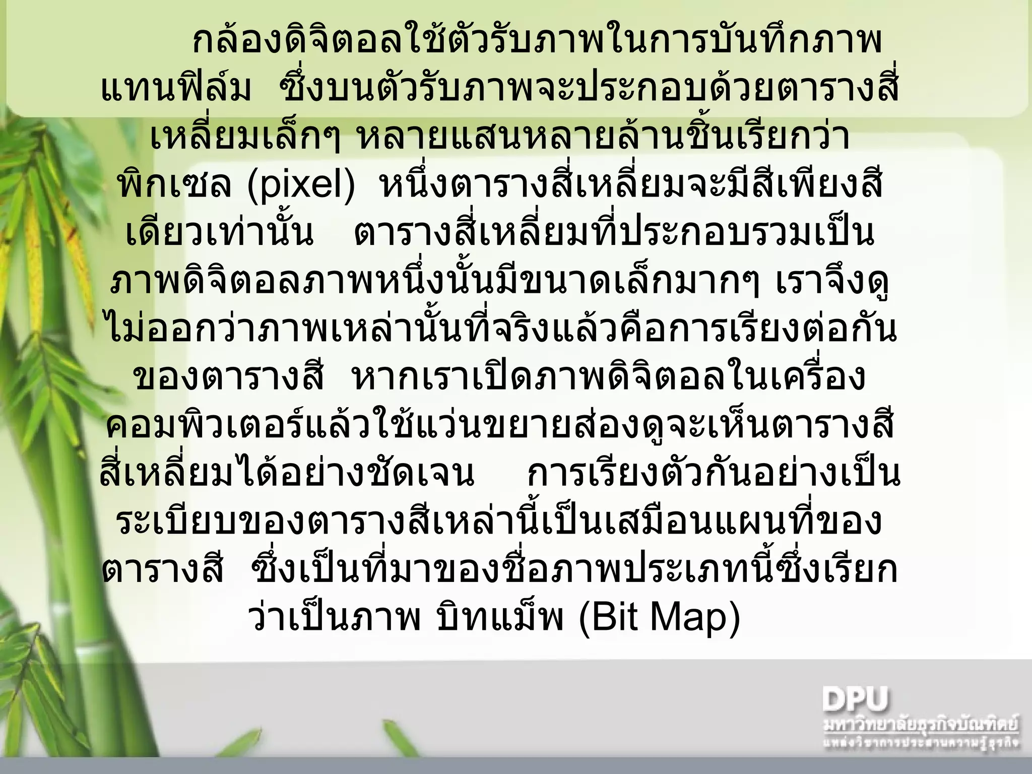 กล้องดิจิตอลใช้ตัวรับภาพในการบันทึกภาพแทนฟิล์ม    ซึ่งบนตัวรับภาพจะประกอบด้วยตารางสี่เหลี่ยมเล็กๆ หลายแสนหลายล้านชิ้นเรียกว่า พิกเซล  (pixel)   หนึ่งตารางสี่เหลี่ยมจะมีสีเพียงสีเดียวเท่านั้น     ตารางสี่เหลี่ยมที่ประกอบรวมเป็นภาพดิจิตอลภาพหนึ่งนั้นมีขนาดเล็กมากๆ เราจึงดูไม่ออกว่าภาพเหล่านั้นที่จริงแล้วคือการเรียงต่อกันของตารางสี    หากเราเปิดภาพดิจิตอลในเครื่องคอมพิวเตอร์แล้วใช้แว่นขยายส่องดูจะเห็นตารางสีสี่เหลี่ยมได้อย่างชัดเจน      การเรียงตัวกันอย่างเป็นระเบียบของตารางสีเหล่านี้เป็นเสมือนแผนที่ของตารางสี    ซึ่งเป็นที่มาของชื่อภาพประเภทนี้ซึ่งเรียกว่าเป็นภาพ บิทแม็พ  (Bit Map)   