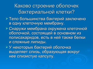Каково строение оболочек бактериальной клетки? Тело большинства бактерий заключено в одну клеточную мембрану. Снаружи мембрана окружена клеточной оболочкой, состоящей в основном из полисахаридов, есть в ней также белки и сложные липиды. У некоторых бактерий оболочка выделяет слизь, образующая вокруг нее слизистую капсулу. 