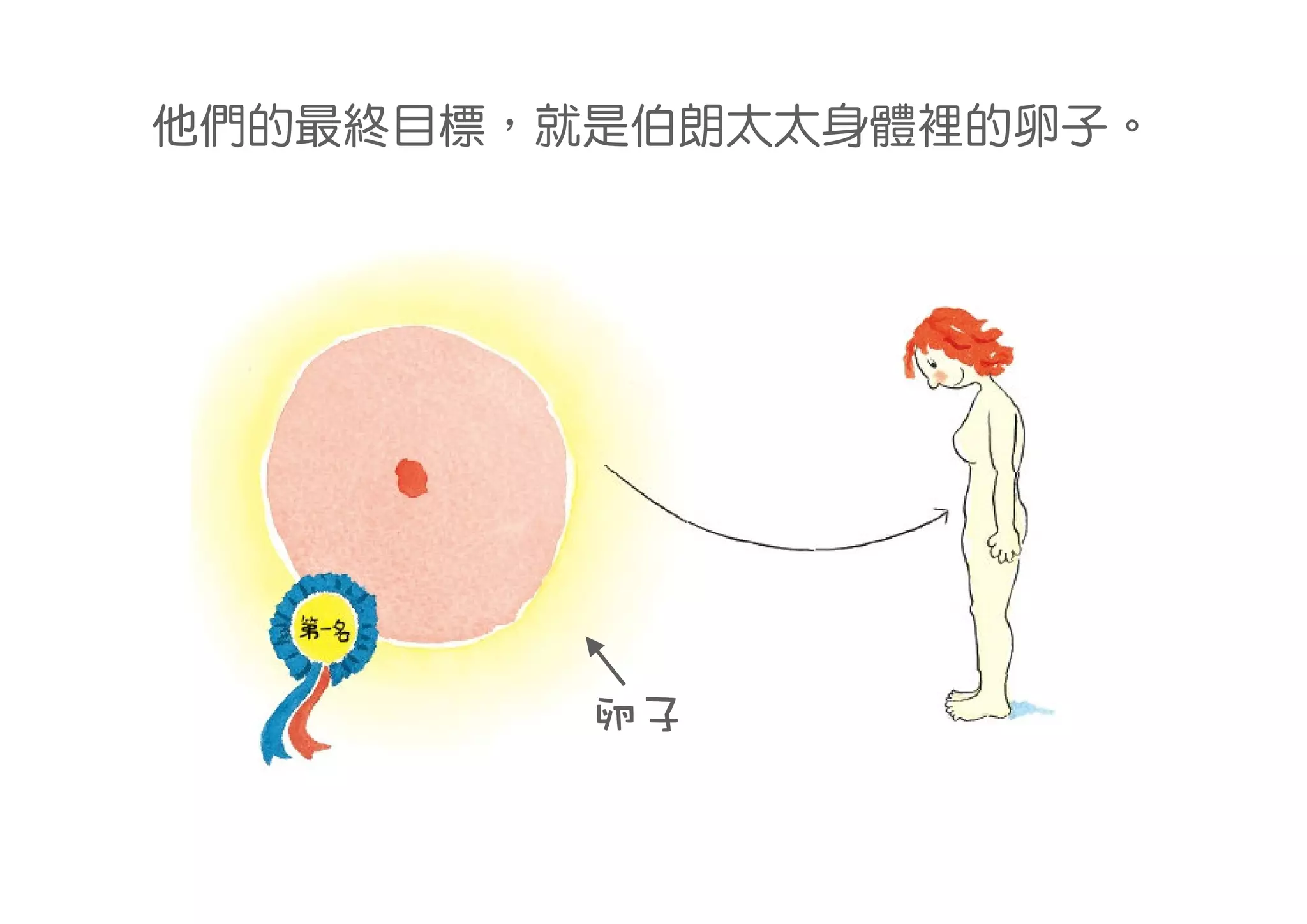他們的最終目標，就是伯朗太太身體裡的卵子。




         卵子
 