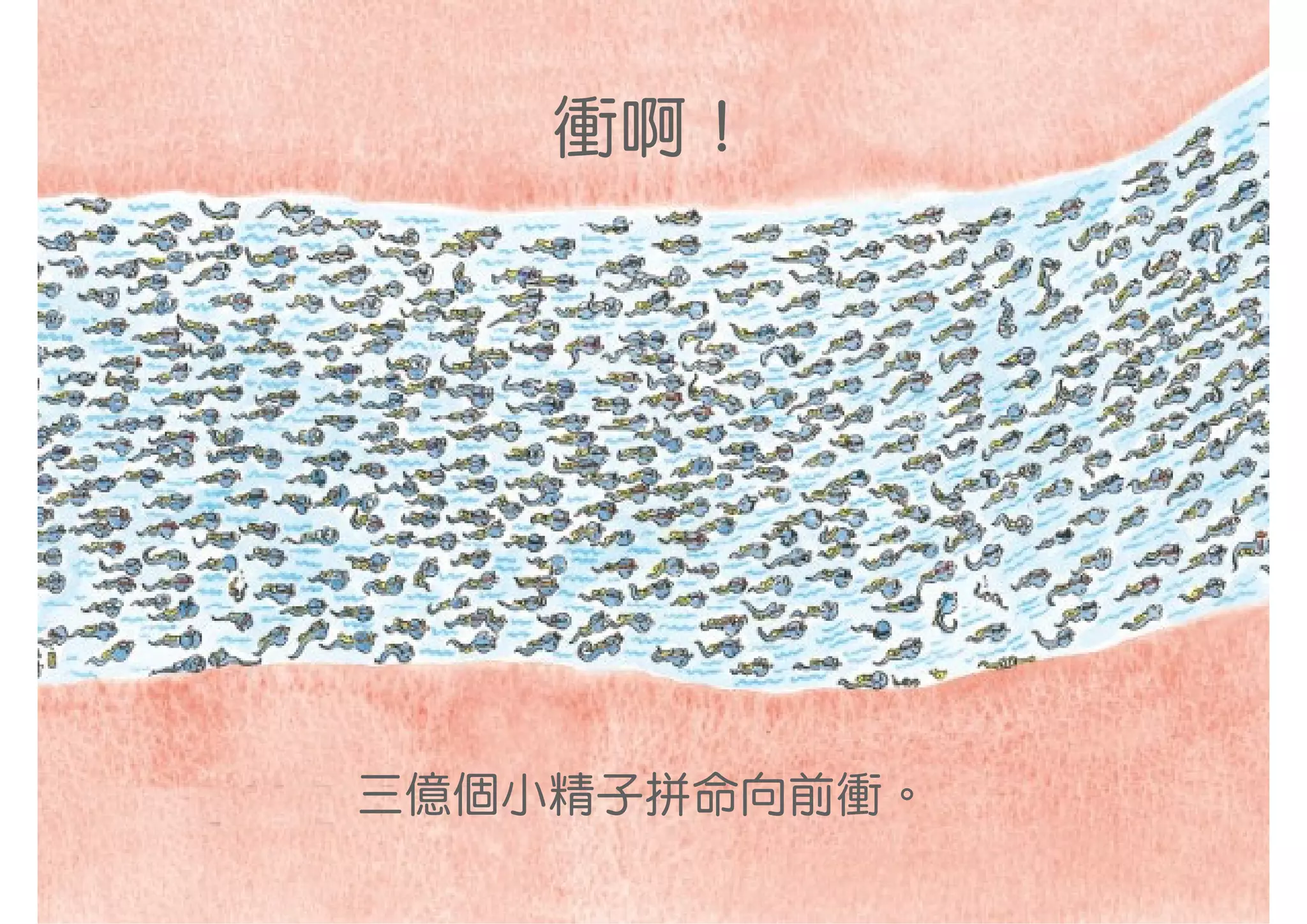 衝啊！




三億個小精子拼命向前衝。
 