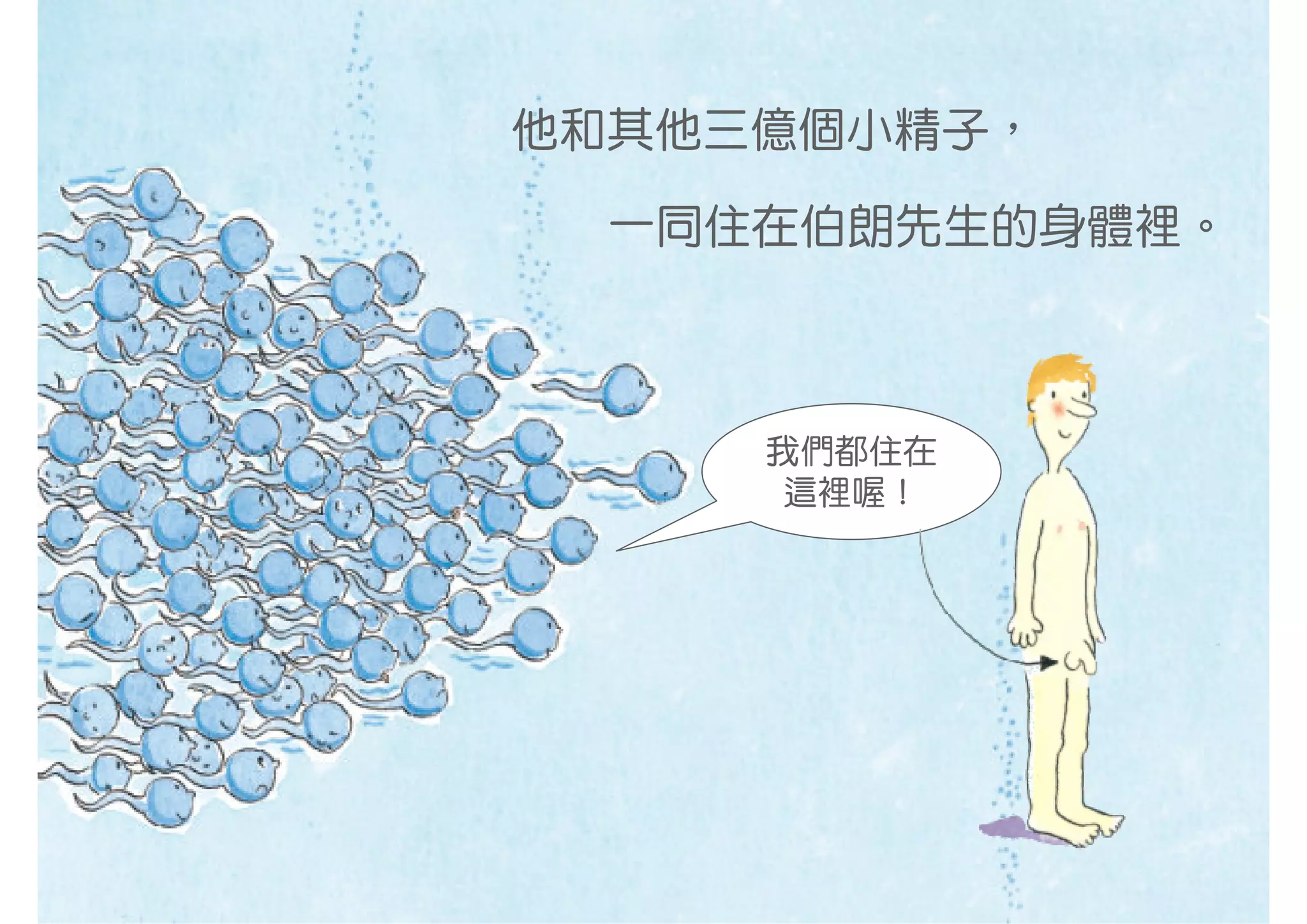 他和其他三億個小精子，

  一同住在伯朗先生的身體裡。



     我們都住在
      這裡喔！
 