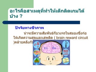 อะไรคือสาเหตุที่ทำให้เด็กติดเกมได้บ้าง   ? ปัจจัยทางชีวภาพ น่าจะมีความสัมพันธ์กับวงจรในสมองซึ่งก่อให้เกิดความสุขและเสพติด  (  brain reward circuit ) คล้ายคลึงกับการติดสารเสพติด   