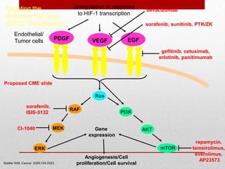 Следовательно необходим поиск новых препаратов, действие которых основано на биологии опухоли.   1. National Cancer Institute. SEER cancer statistics fact sheet: cancer of the kidney and renal pelvis. Accessed 2008.2. Janzen N et al. Urol Clin North Am. 2003;30:843. 