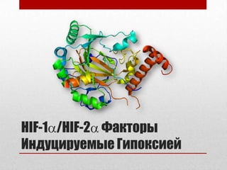 ECM агрегацияStadler WM. Cancer. 2005;104:2323.