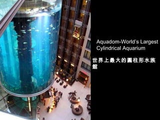 Aquadom-World’s Largest Cylindrical Aquarium 世界上最大的 圓 柱形水族 館 