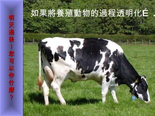 如果將養殖動物的過程透明化… . 