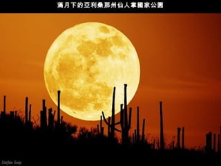 滿月下的亞利桑那州仙人掌國家公園 