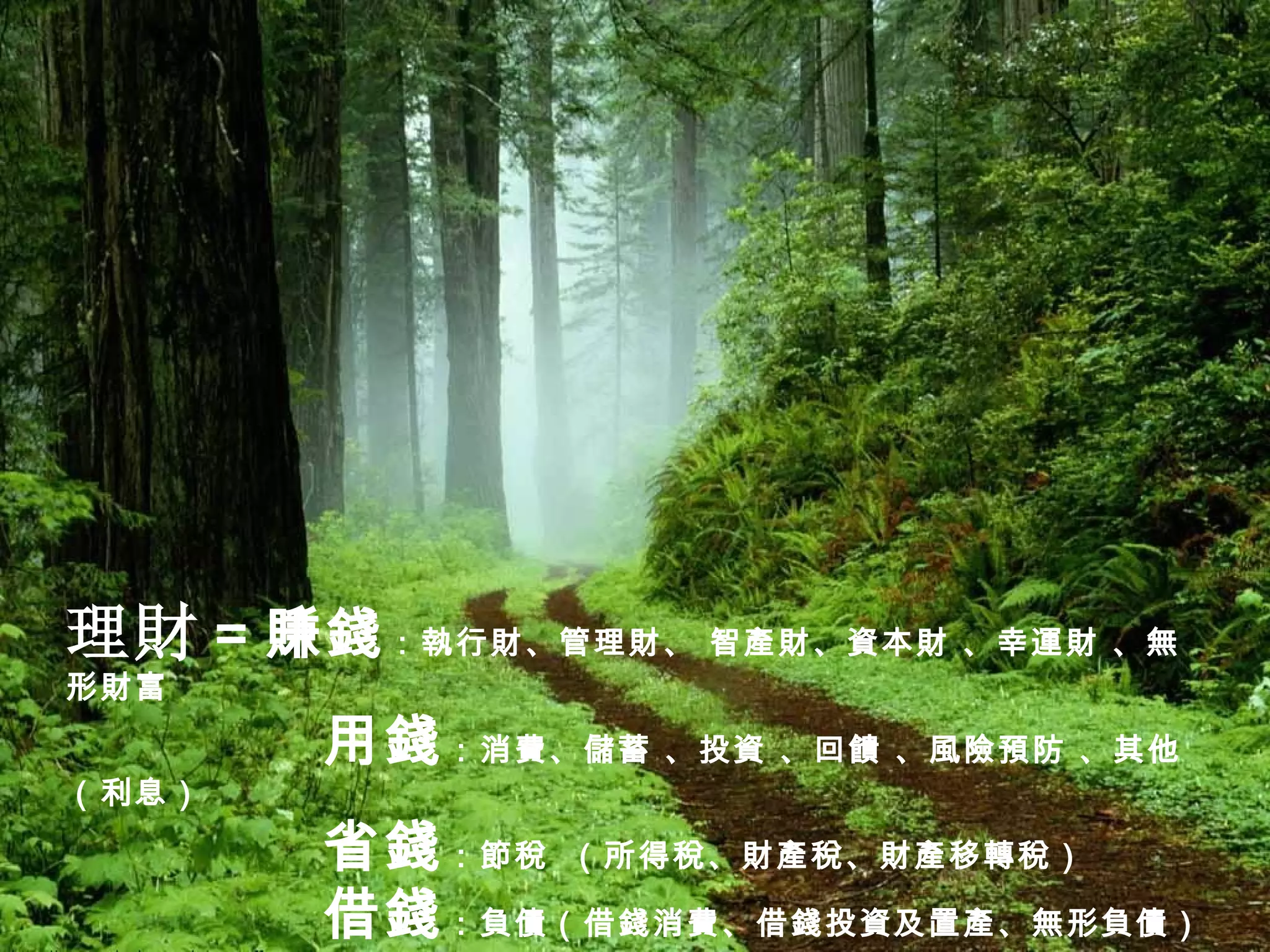 理財 ＝賺錢 ：執行財、管理財、 智產財、資本財 、幸運財 、無形財富 用錢 ：消費、儲蓄 、投資 、回饋 、風險預防 、其他（利息） 省錢 ：節稅   （所得稅、財產稅、財產移轉稅） 借錢 ：負債（借錢消費、借錢投資及置產、無形負債） 