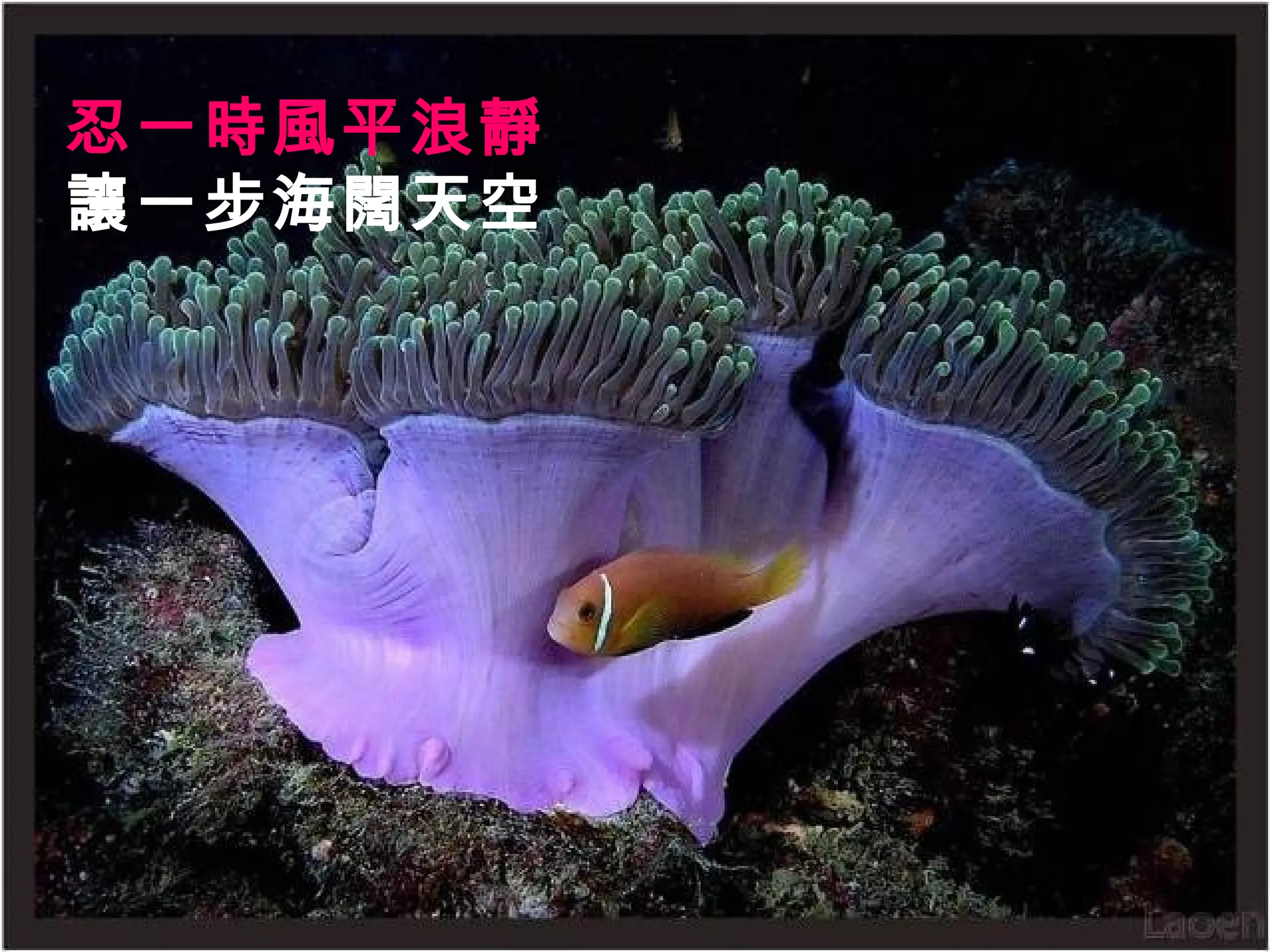 忍一時風平浪靜 讓一步海闊天空   