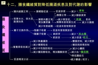 十二、膳食纖維質對降低腸道疾患及對代謝的影響 膽固醇 高血壓 結石 膳　食　纖　維　質 便秘 痔瘡 27 促進唾液分泌  減少齲齒 ( 蛀牙 ) 營養素吸收減少  減少熱量攝取 減少糖類吸收 減少膽固醇吸收、增加膽酸排泄 減少中性脂肪吸收 體重控制、減少肥胖 降低膽結石 減少心臟病 糖尿病病情控制 減少血 22   離子交換作用  陽離子吸著 陰離子吸著 促進有害物質排泄 鈣排泄 鈉排泄  減少 20   減少尿道 21   吸著水分、保水及 膨潤效果  腸管內壓正常 增加糞便量 減少有害細菌 促進有害物質排泄 稀釋有害物質生成 減少大腸癌 腸內細菌正常 腸蠕動促進 促進排便 減少 18   　　　 腹壓正常  減少靜脈異常 減少憩室症、  19   、息肉 