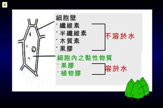 細胞壁 ˙ 纖維素 ˙ 半纖維素 ˙ 木質素 ˙ 果膠 細胞內之黏性物質 ˙ 果膠 ˙ 植物膠 不溶於水 溶於水 4 