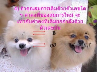 4)  ถ้าคูณสมการเดิมด้วยตัวเลขใด ๆ ค่าคงที่ของสมการใหม่ จะเท่ากับค่าคงที่เดิมยกกำลังด้วยตัวเลขนั้น 