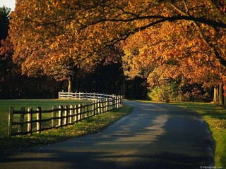Autumn September October November Сентябрь Октябрь Ноябрь Осень 