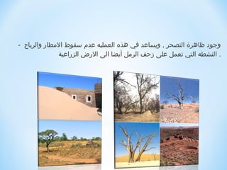 ‫وجود ظاهرة التصحر , ويساعد في هذه العمليه عدم سقوط المطار والرياح -‬
              ‫. النشطه التي تعمل على زحف الرمل أيضا الى الرض الزراعية‬
 