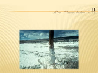  - IIأسباب تدهور التربةتمليح التربة والتشبع بالمياه (التطبيل) , فالاستخدام المفرط لمياه الري مع سوء الصرف الصحي يؤدي إلى الإضرار بالتربة . 