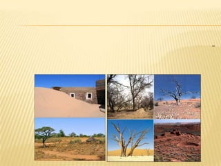 -  وجود ظاهرة التصحر , ويساعد في هذه العمليه عدم سقوط الامطار والرياح النشطه التي تعمل على زحف الرمل أيضا الى الارض الزراعية .