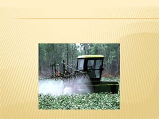 استخدام المبيدات والكيماويات على نحو مفرط :  