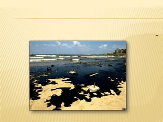 - التلوث بواسطة المواد المشعه . 