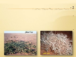 الآثار المترتبة على تدهور التربة : - 2- نقص المواد الغذائيةاللآزمة لبناء الانسان ونموه , وعلى نحو اعم مسؤليته عن حياته على سطح الارض . - اختفاء مجموعات نباتيه وحيوانيه أو بمعنى آخر انقراضها . 