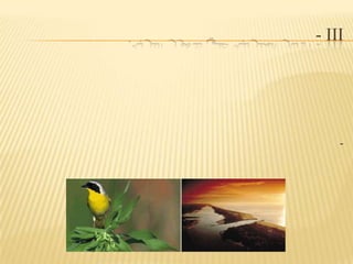 الآثار المترتبة علي تدهور التربة. - IIIالتأثيرات الصحية وذلـك من خـلال ملامسة التربة الملوثة للجـلد أوإبتـلاع الـتربة الملوثـة أو شرب المياه التي قد يكون تسربت إليها الملوثات من التربة أو إستنشاق الغازات السامة والغبار الذى يحتوي على مواد ضارة أوتناول المنتجات الزراعية من المناطق الملوثة.نقص المواد الغذائية اللازمة لبناء الإنسان ونموه، وعلى نحو أعم مسؤولةعن حياته على سطح الأرض.-الإضرار بالشعب المرجانية، والتي بدورها تؤثر علي الجذب السياحي وفي نفس الوقت علي الثروة السمكية حيث تتخذ العديد من الأسماك من هذه الشعب المرجانية سكناً وبيئة لها.    